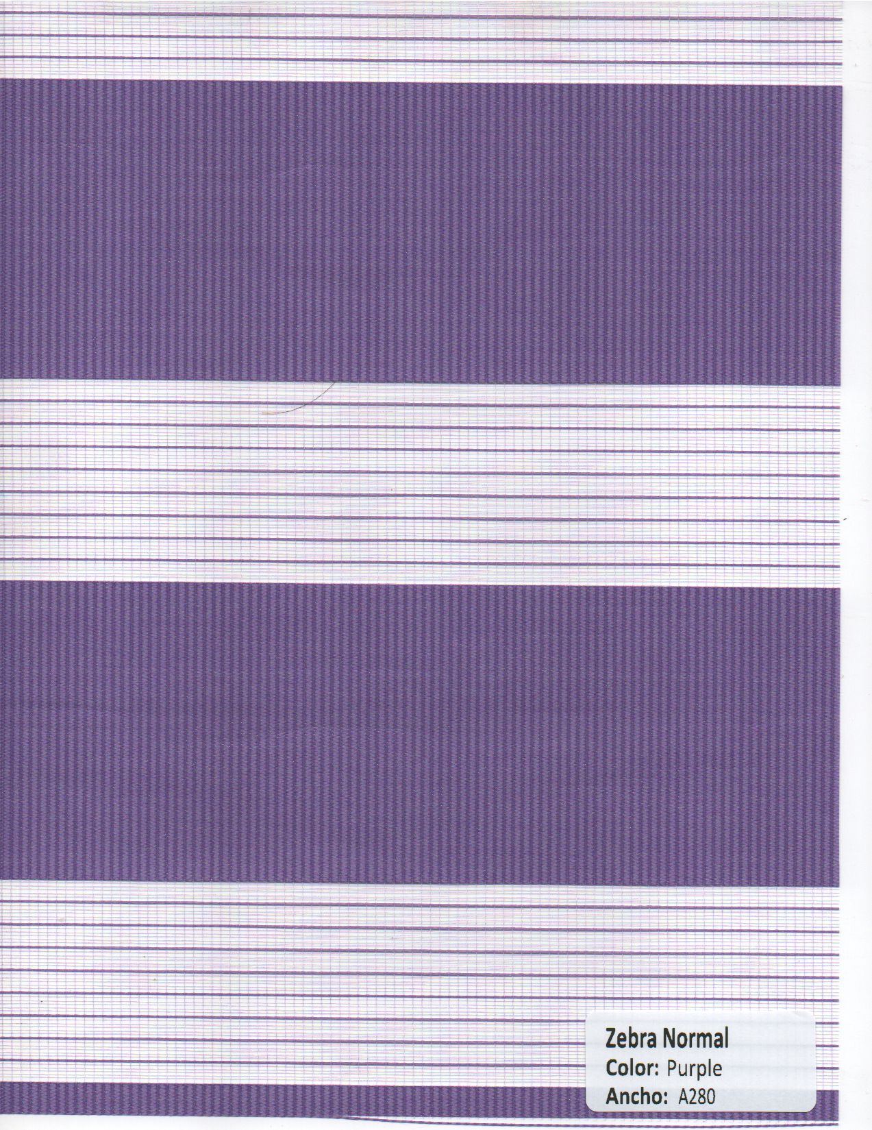 Zebra Normal Purple